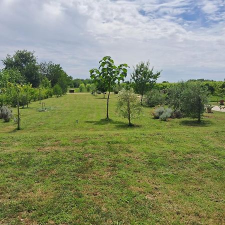 Casa Zafferano - Apartment With Garden Corno di Rosazzo Esterno foto