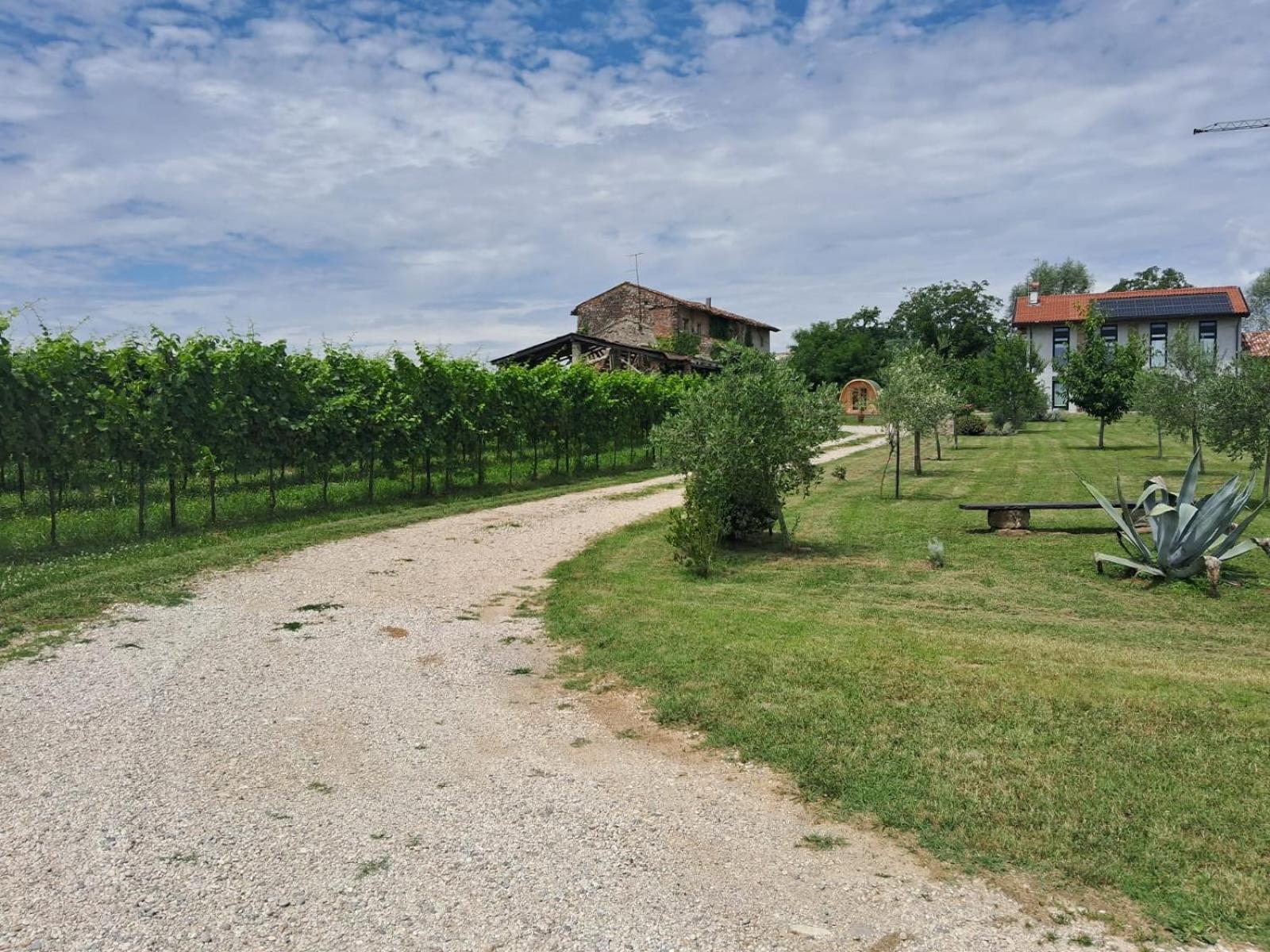 Casa Zafferano - Apartment With Garden Corno di Rosazzo Esterno foto